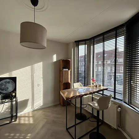 Fijn In Rotterdam